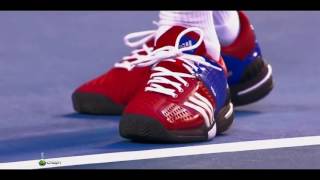 2011, Novak Djokovic in Grand Slam