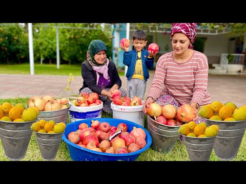 Köyde Nar Hasadı Ve İnanılmaz Doğal Nar Ekşisi Yapımı