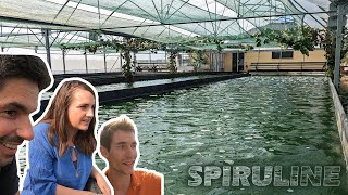 La spiruline, cette bactérie est un aliment | Elizabeth et Erwan la produisent - 2022