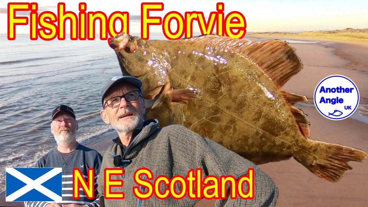 Потрясающая рыбалка на камбалу: как я ее поймал: Северо-Восток Шотландии: Прекрасный рассвет в Аб...