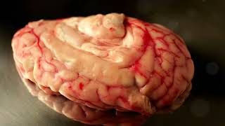 The Power Of The Navel Your True Center Of Life Spiritual Awakening