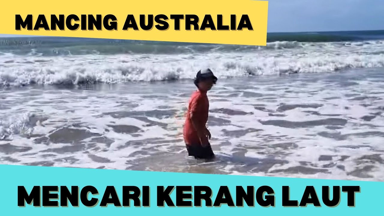 Cari Kerang Laut Australia | Masak dan Makan Kerang Bareng Keluarga