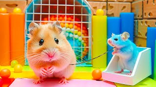 Hamster Escapes from the Largest Water Maze  Epic Journey 🐹 Maze for Hamster