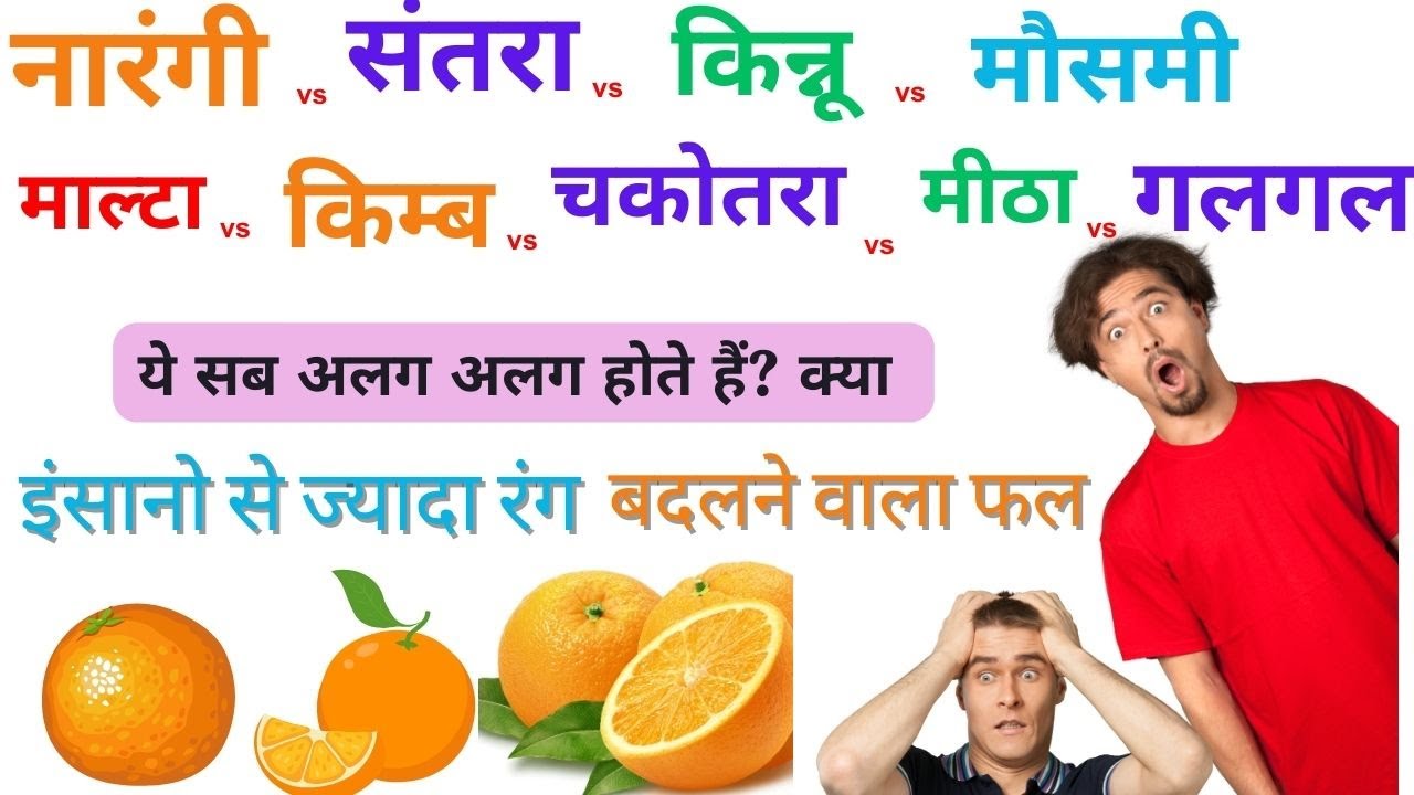Citrus Fruits Orange vs Santra vs Kinnu vs Malta vs Mosambi vs Mitha