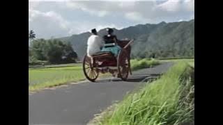 Talambek Pulang By  Syifa Maulina