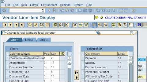 SAP FICO VIDEO TRAINING TUTORIALS 0036 HOUSE BANKS CUSTOMIZATION (AP) ECC6 - BAYISETTI