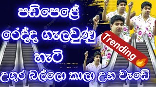 පඩිපෙළේ රෙද්ද ගැලවුණු හැටි | උගුර බල්ලෝ කාලා උන වැඩේ | Dinesh Muthugala | Episode 236
