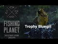Trophy Bluegill - Mudwater river - Fishing Planet
