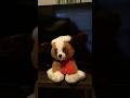 Sound N Light 2023 Animated Singing Christmas ear flapping dog