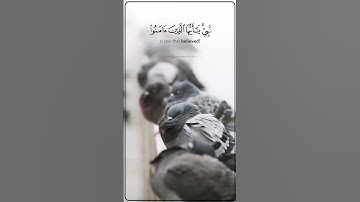 أنس آوات الكاسكاني - {إن الله وملائكته يصلون على النبي...} سورة الأحزاب | anas awat surah ahzab