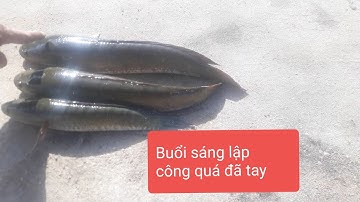 Câu cá lóc. Buổi sáng lập công quá đã tay luôn (tập 4)