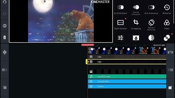 Just a old bad vhs overlay test for kinemaster * very cringey and old * * 117 Subcribers Speical! *