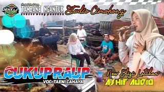 CUKUP RAUP VOC.TAENI | TEAM TANGAN | EDISI LATIHAN | PRO MUSIC TAMBANE NGANTUK | DEN'S AJI CHANEL HD