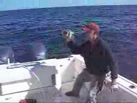 Grouper Fishing - Rally and Double Downs