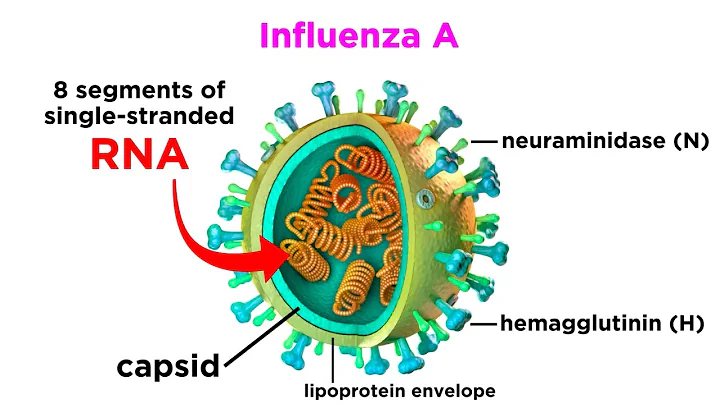Influenza (The Flu) - DayDayNews