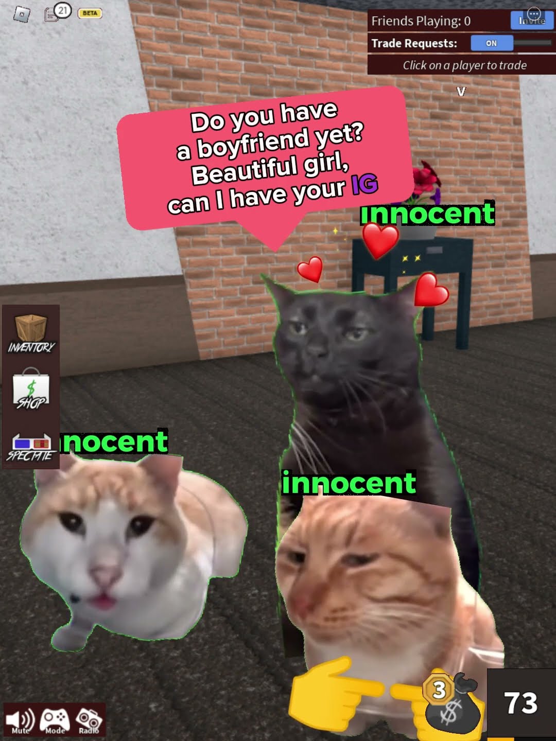 AFK CAT IN MM2 Memes Roblox Meme Bloxfruits Murdermystery2 Oar2
