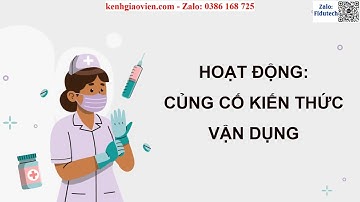 Giáo án PowerPoint Bài 12 Quyền & nghĩa vụ của cd trong bảo vệ chăm sóc ... |GA điện tử KTPL 12 CTST