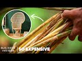 Why Rattan Is So Expensive | So Expensive