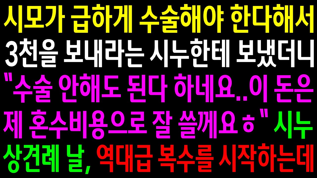 시모가 급하게 수술해야 한다해서 3천을 보내라는 시누한테 보냈더니 혼수비용으로 쓴다는데..시누 상견례 날 역대급 한방을 시작하는데