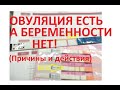 👆Овуляция есть, а беременности нет 🤰❓ 9 причин (6 важных шагов чтобы забеременеть!)