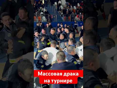 Массовая драк на турнире мма #mma #muradaov #мма #файтинг #бои #харидуз #бокс #кунфу #ufc #спорт