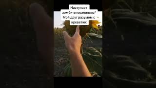 Plant vs Zombies в реальности #гд #мем #приколы #тира