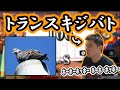 加藤純一のキジバト鳴きマネ発作集【6連発】