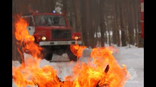 Горит Лес. Эвакуация Из Детского Лагеря