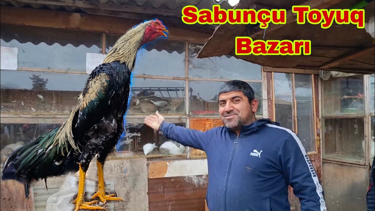 Sabunçu Toyuq Bazarı 21 dekabr 2025