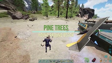 ARK : Official Fjordur |Sap Farming Guide|  Easy way to farm