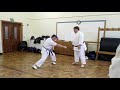 Gyakuzuki no tsukkomi from seishan kata  wado ryu karate
