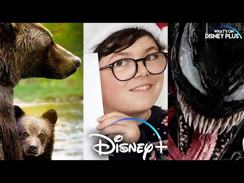 Home Sweet Home Alone Disney+ Date Announced + Venom Delayed Again | Disney Plus News