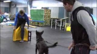 Converting a Schutzhund 3 to Leg Bites