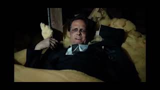 Allstate mayhem raccoon Net Worth