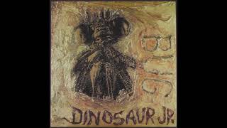 Dinosaur Jr    They Always Come