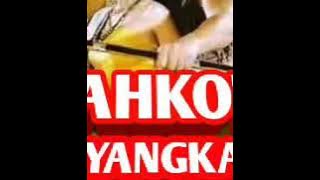 Mahkota Mayangkara - Pertarungan Arya Kamandanu vs Dewi Upas