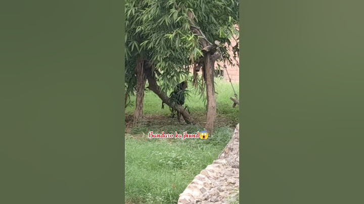 Today I remembered my childhood 🐯 Mini vlog of zoo with family #minivlog #zoo #shorts