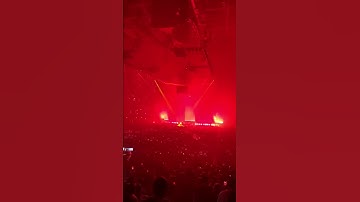 Thumbnail of Post Malone Runaway Tour 2020 Sunflower