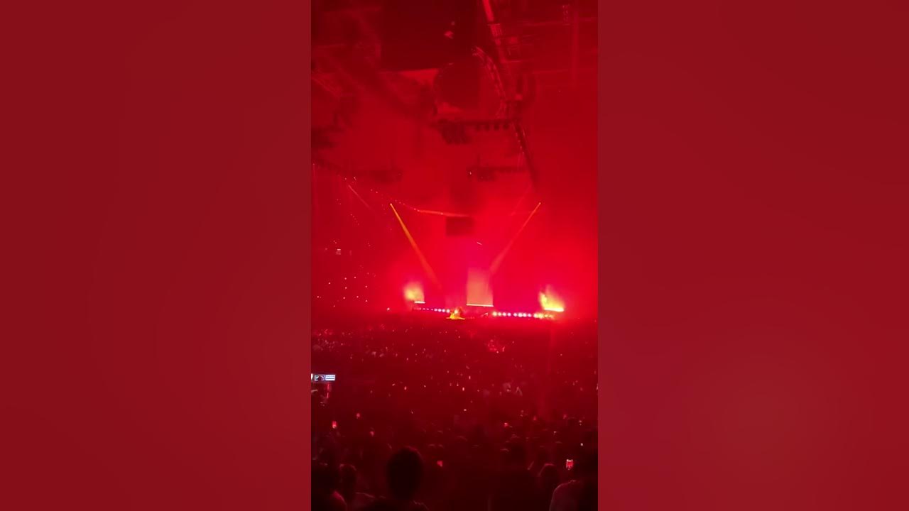 Post Malone Runaway Tour 2020 Sunflower