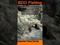 Black Desert Online (BDO) Proven Safe Fishing Spot for Charr. Lucky spot I'm #2 for Charr right now
