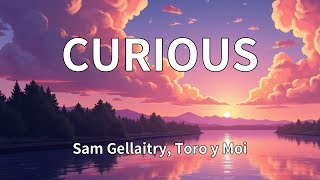Sam Gellaitry, Toro y Moi - CURIOUS (Lyrics)