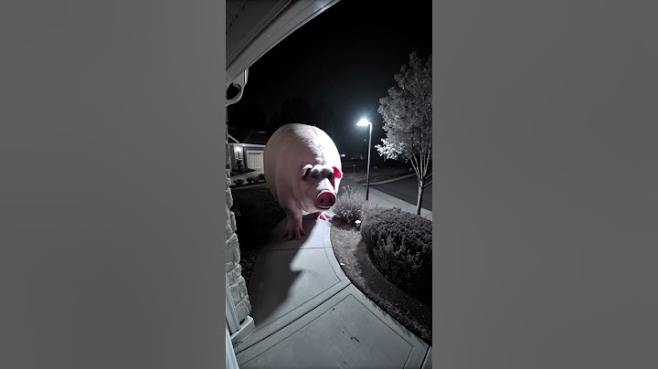 Huge pig caught on CCTV #scary #ai #foundfootage #horror