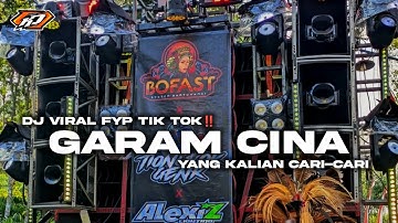 DJ GARAM CINA BASS PARTY KARNAVAL VIRAL TIK TOK‼️ BUDAK CIAMIS KULIAH DI PALEMBANG #trending