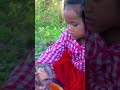 Breastfeeding Monkeys #cutebaby#babymongkey #babymonkey #babymonkeyattacked #babymonkeyvideos 9