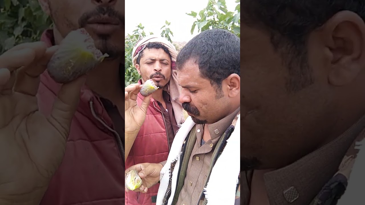 ابونايف العرجمي