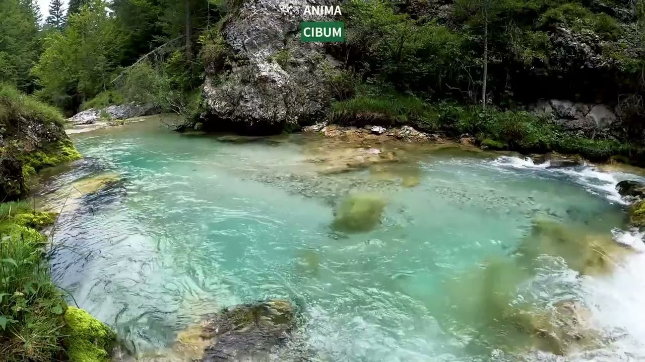 Lloyd Rodgers - Golden Riddles, Echoes and Points (Act II)