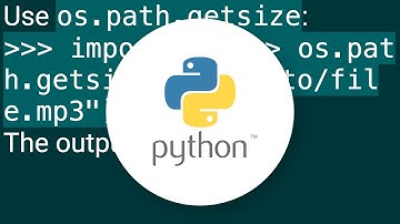How do I check file size in Python?