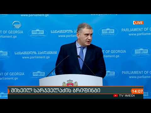 მიხეილ სარჯველაძის ბრიფინგი