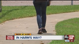 Hernando scales back courtesy busing for kids