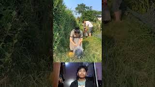 Kwai Funny tiktok: Funny Videos 2025 Chinese Funny Video 🤣 #shorts  #funny #comedy